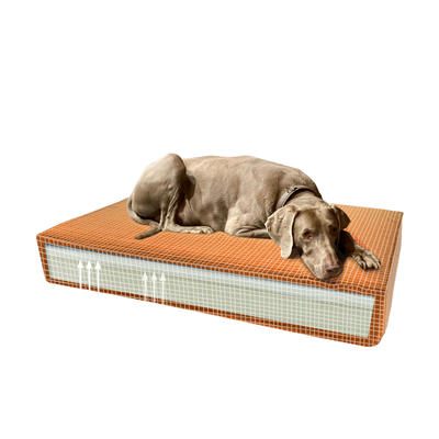 Madison Orthopädisches Kissen Velvet Orange S