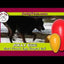 Jolly Egg Gelb L (30 cm)