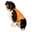 Nightwalk Safety Vest Orange S
