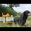 Easy Walk Schultermodell Schwarz - Mini