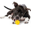 Outward Hound Orbee-Tuff Nooks Gelb