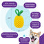 Outward Hound Dental Pineapple