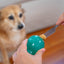 Outward Hound Double-Tuff M Blau