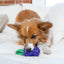 Outward Hound Dental Grapes