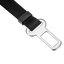 Pawise Safety Belt M