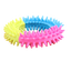 Pawise Rainbow World Ring S