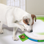 Pawise Dog training toy - Level 2 Spinning Feeder