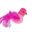 Pawise 100% Catnip Toy Vogel
