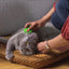 Pet+Me Cat Hair Brush Langhaar Grün