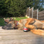 RelaxoPet PRO Hund
