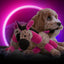 Retrodog Donkey Rosa S