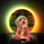 Retrodog Donkey Gelb S