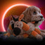 Retrodog Donkey Orange S