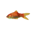Robocat Fish Goldfisch