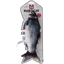 Robocat Fish Karpfen