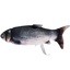 Robocat Fish Karpfen
