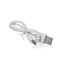 Robocat Fish Karpfen