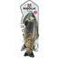 Robocat Fish Forelle