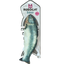Robocat Fish Lachs
