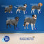 Royal Dry Bademantel Für Hunde XS