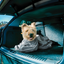 Royal Dry Doggy Bag Trockenbeutel M