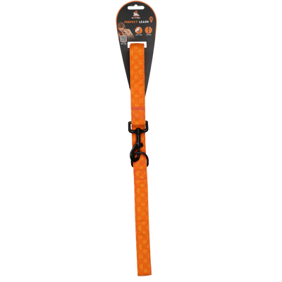 Spotted! Pro Perfect Leash 120 cm Orange