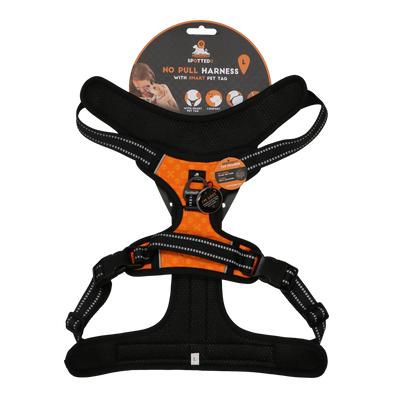 Spotted! Pro No Pull Harnas Orange L