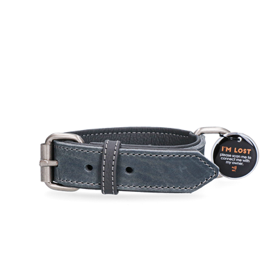 Spotted! Pro Lederhalsband Grau 2,5x40cm