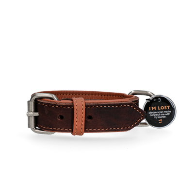 Spotted! Pro Lederhalsband Braun 3 x 60 cm