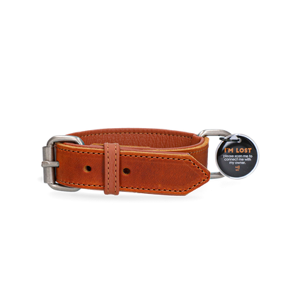 Spotted! Pro Lederhalsband Cognac 2,5 x 50 cm