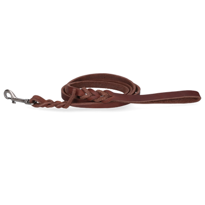 Spotted! Pro Leder Führleine Braun 1,6 x 180 cm (Bolzenhaken)