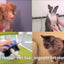 Pet+Me Dog Bürste Langhaar Rot