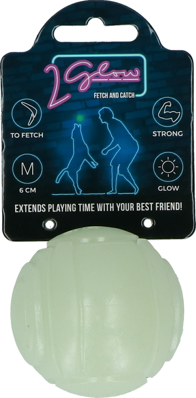 2 Glow Fetch & Play
