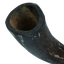 Viking Horn Whole S