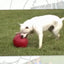 Jolly Push-n-Play Rot L (25 cm)