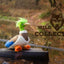 Wild Life Dog Ente