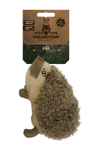 Wild Life Dog Igel