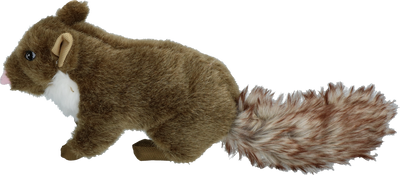 Wild Life Dog Marder