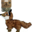 Wild Life Dog Fuchs
