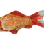 Wild Life Cat Goldfisch