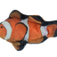 Wild Life Cat Clownfisch