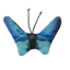 Wild Life Cat Blauer Schmetterling