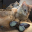 Wild Life Cat Blauer Schmetterling