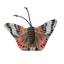 Wild Life Cat Admiral Schmetterling