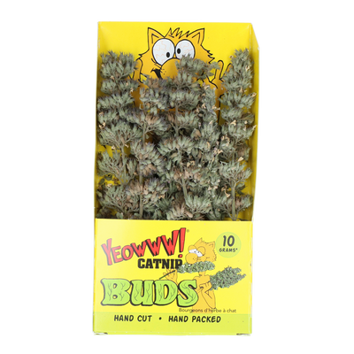 Yeowww! Catnip Buds