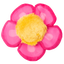 Yeowww! Daisy's Flower Tops Pink