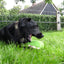 Fuzzle Hedgie mit Schwanz Rot
