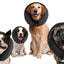 Zenpet ProCollar XS