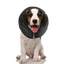 Zenpet ProCollar XS