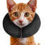 Zenpet ProCollar XS